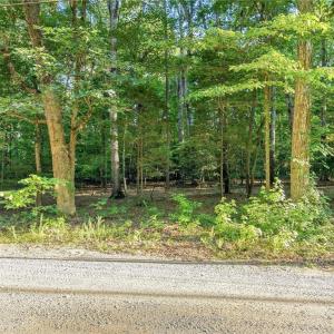 Photo #8 of Roy Coppley, Lexington, NC 16.9 acres