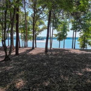 Lake View from Lot