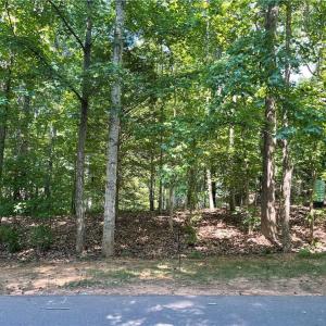 Photo #2 of 196 Larkspur, Lexington, NC 0.8 acres