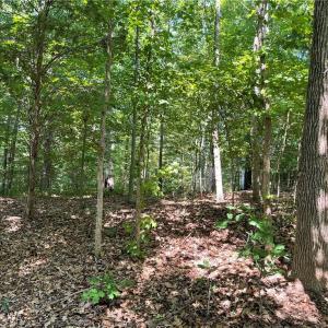 Photo #3 of 196 Larkspur, Lexington, NC 0.8 acres