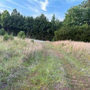 Photo #10 of 554 Brooks, Reidsville, NC 1.1 acres