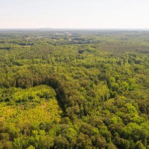 Photo #2 of Broken Arrow, Elon, NC 25.4 acres
