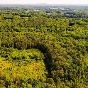 Photo #3 of Broken Arrow, Elon, NC 25.4 acres