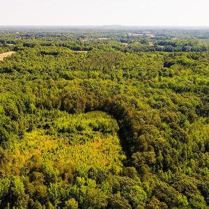 Photo #4 of Broken Arrow, Elon, NC 25.4 acres