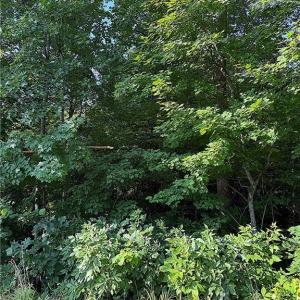 Photo #1 of US Highway 64, Trinity, NC 4.6 acres
