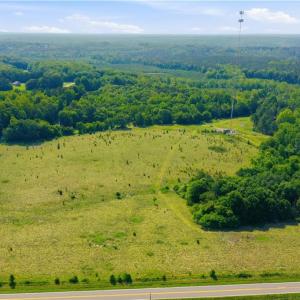 Photo #6 of 1791 County Home, Blanch, NC 40.1 acres