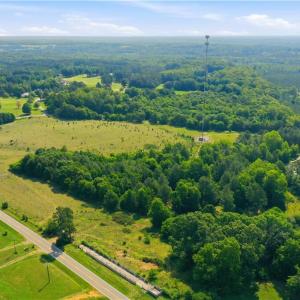Photo #7 of 1791 County Home, Blanch, NC 40.1 acres