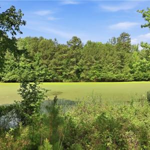Photo #3 of 1791 County Home, Blanch, NC 40.1 acres