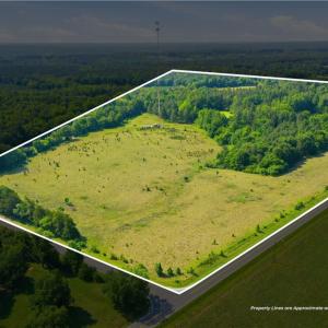 Photo #1 of 1791 County Home, Blanch, NC 40.1 acres