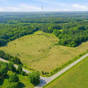 Photo #5 of 1791 County Home, Blanch, NC 40.1 acres