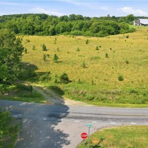 Photo #15 of 1791 County Home, Blanch, NC 40.1 acres