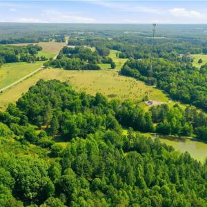 Photo #8 of 1791 County Home, Blanch, NC 40.1 acres