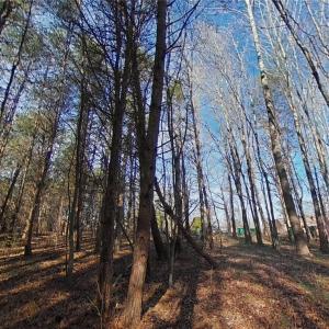 Photo #13 of Eden, Stoneville, NC 8.5 acres
