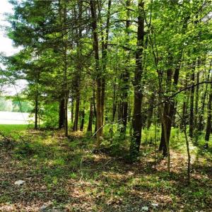 Photo #5 of Eden, Stoneville, NC 8.5 acres