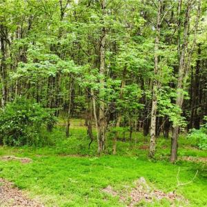 Photo #9 of Eden, Stoneville, NC 8.5 acres