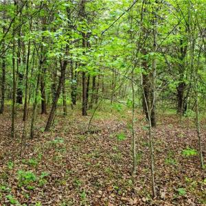 Photo #11 of Eden, Stoneville, NC 8.5 acres