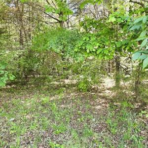 Photo #4 of Eden, Stoneville, NC 8.5 acres