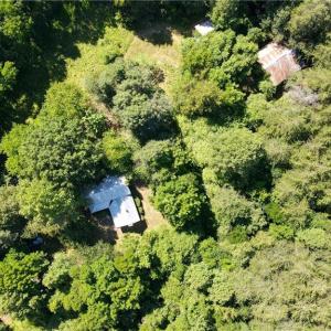 Photo #13 of 1215 Lucius Beasley, Westfield, NC 160.0 acres