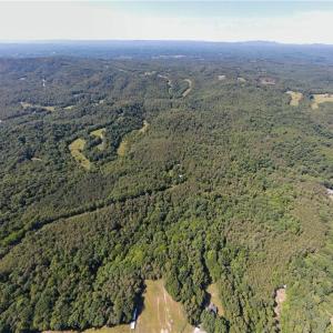 Photo #7 of 1215 Lucius Beasley, Westfield, NC 160.0 acres