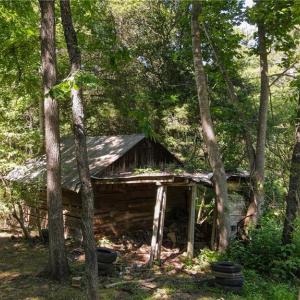 Photo #3 of 1215 Lucius Beasley, Westfield, NC 160.0 acres