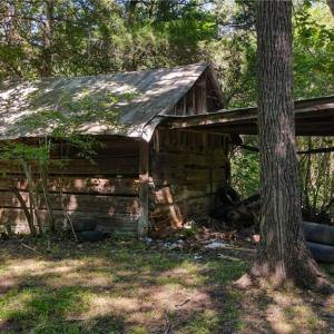 Photo #14 of 1215 Lucius Beasley, Westfield, NC 160.0 acres