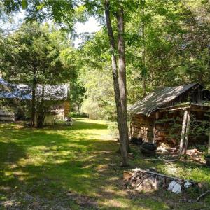 Photo #4 of 1215 Lucius Beasley, Westfield, NC 160.0 acres