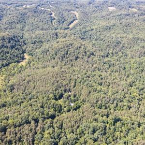 Photo #6 of 1215 Lucius Beasley, Westfield, NC 160.0 acres