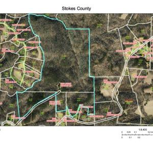Photo #17 of 1215 Lucius Beasley, Westfield, NC 160.0 acres