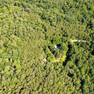 Photo #12 of 1215 Lucius Beasley, Westfield, NC 160.0 acres