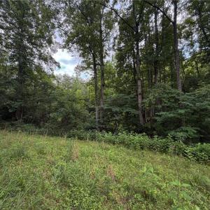 Photo #26 of 1215 Lucius Beasley, Westfield, NC 160.0 acres