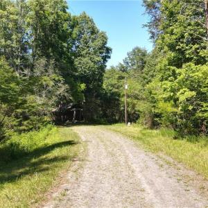 Photo #1 of 1215 Lucius Beasley, Westfield, NC 160.0 acres