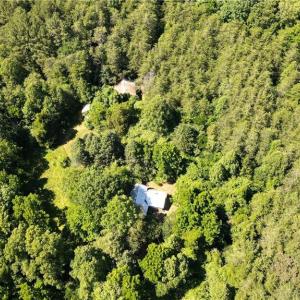 Photo #5 of 1215 Lucius Beasley, Westfield, NC 160.0 acres