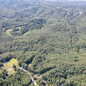 Photo #8 of 1215 Lucius Beasley, Westfield, NC 160.0 acres