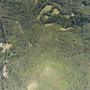 Photo #2 of Lynchburg, Westfield, NC 19.0 acres