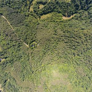 Photo #3 of Lynchburg, Westfield, NC 19.0 acres