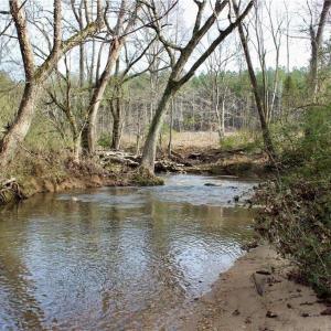 Photo #2 of 1000 Tarry Church, Star, NC 25.7 acres