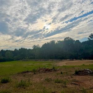Photo #6 of 1000 Tarry Church, Star, NC 25.7 acres