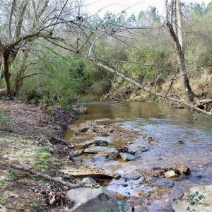 Photo #7 of 1000 Tarry Church, Star, NC 25.7 acres