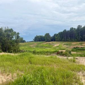 Photo #3 of 1000 Tarry Church, Star, NC 25.7 acres