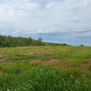 Photo #1 of 1000 Tarry Church, Star, NC 25.7 acres