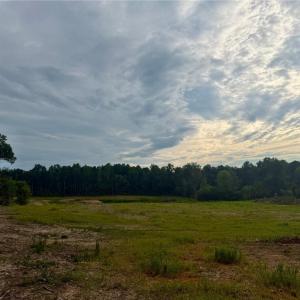 Photo #5 of 1000 Tarry Church, Star, NC 25.7 acres