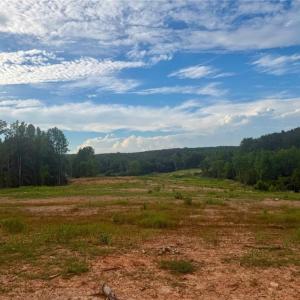 Photo #10 of 1000 Tarry Church, Star, NC 25.7 acres