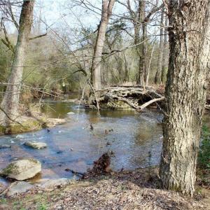 Photo #8 of 1000 Tarry Church, Star, NC 25.7 acres