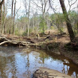 Photo #9 of 1000 Tarry Church, Star, NC 25.7 acres