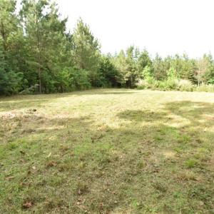 Photo #1 of 1034 Paschal, Yanceyville, NC 12.4 acres
