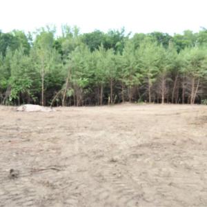 Photo #4 of 1034 Paschal, Yanceyville, NC 12.4 acres