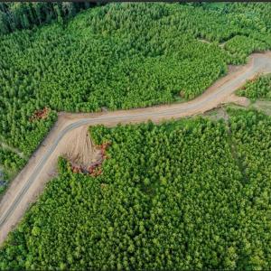 Photo #2 of 585 Briar Ridge Lane, Yanceyville, NC 10.1 acres