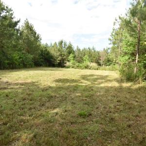 Photo #6 of 585 Briar Ridge Lane, Yanceyville, NC 10.1 acres