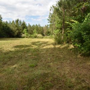 Photo #5 of 585 Briar Ridge Lane, Yanceyville, NC 10.1 acres