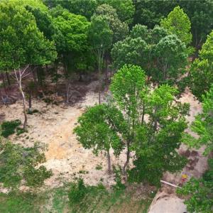 Photo #13 of 3808 Twin Oak, Greensboro, NC 1.7 acres